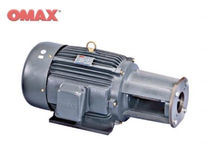 Hydraulic Long Coupling Horizontal Motor (HSWG)